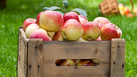 Æbler i kasse